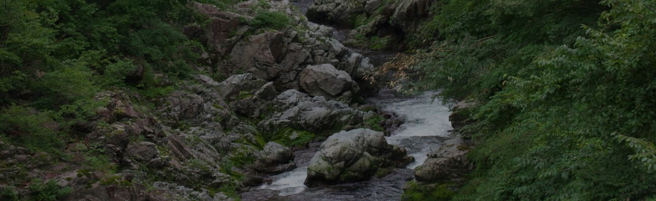 Special promotion thumbnail 3