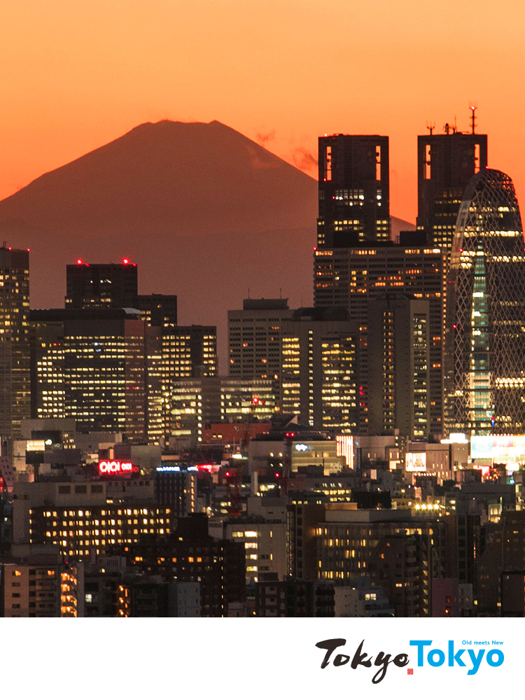 Tokyo sunset Virtual Backgrounds image