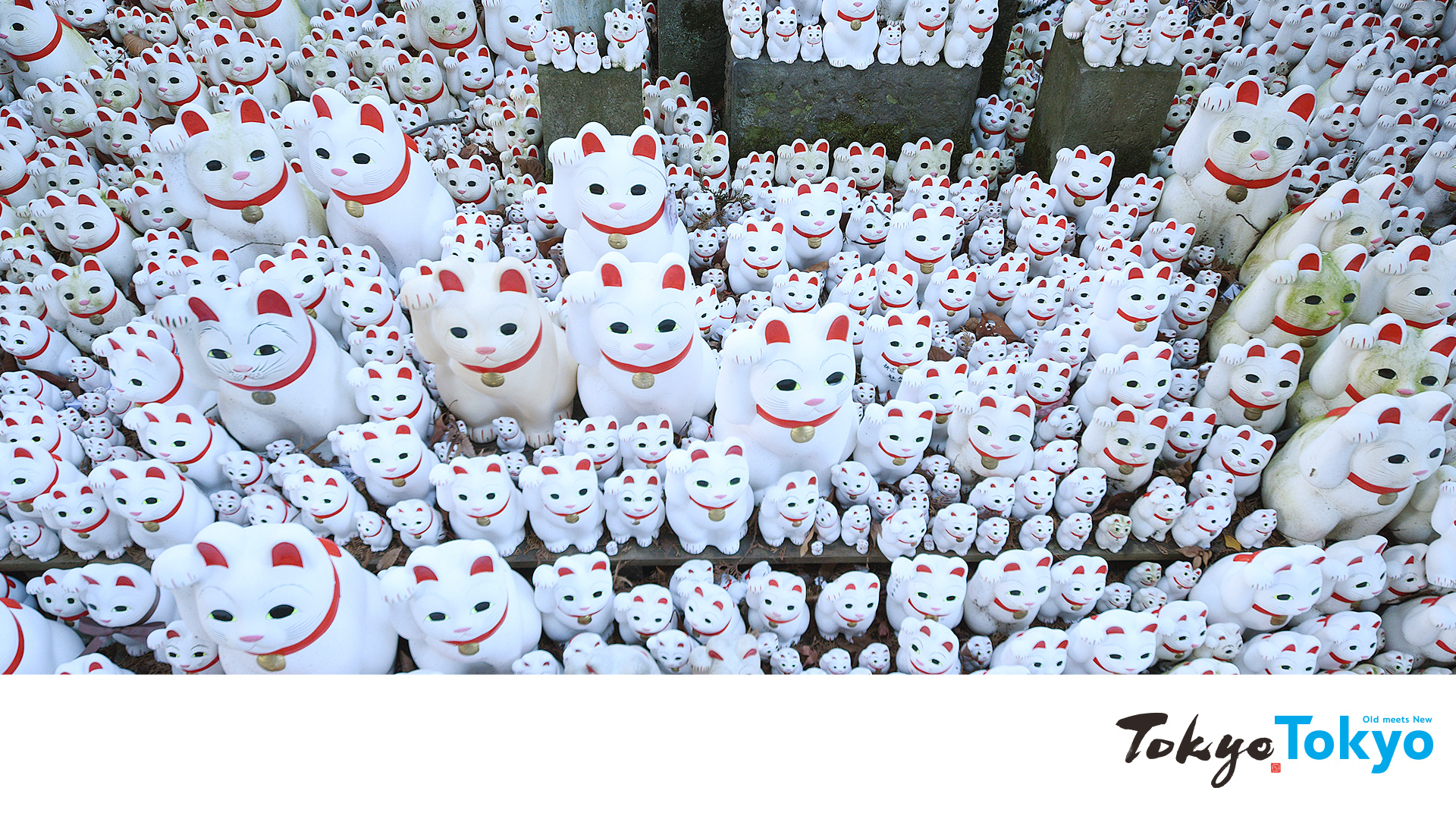 Gotokuji Temple Virtual Backgrounds image