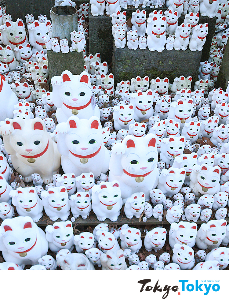 Gotokuji Temple Virtual Backgrounds image