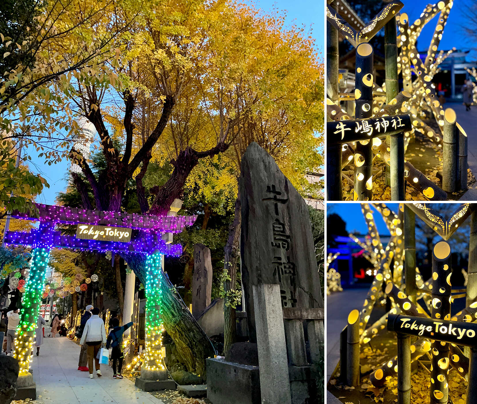 伝統と革新が交差するイーストTOKYO光の祭典 イメージ2