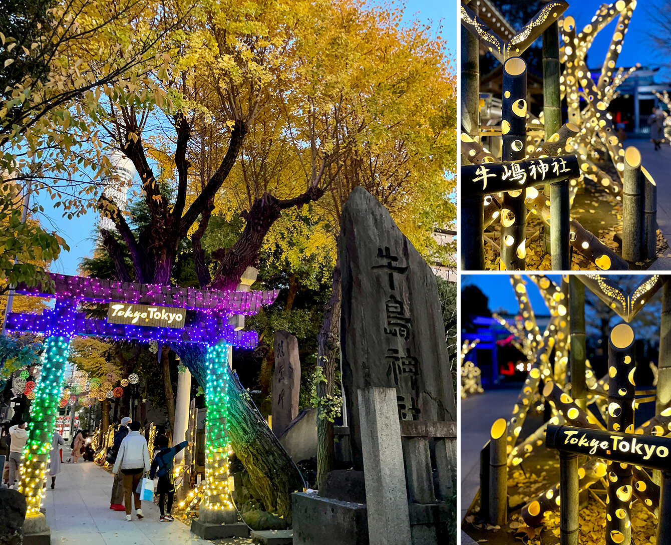 伝統と革新が交差するイーストTOKYO光の祭典 イメージ2