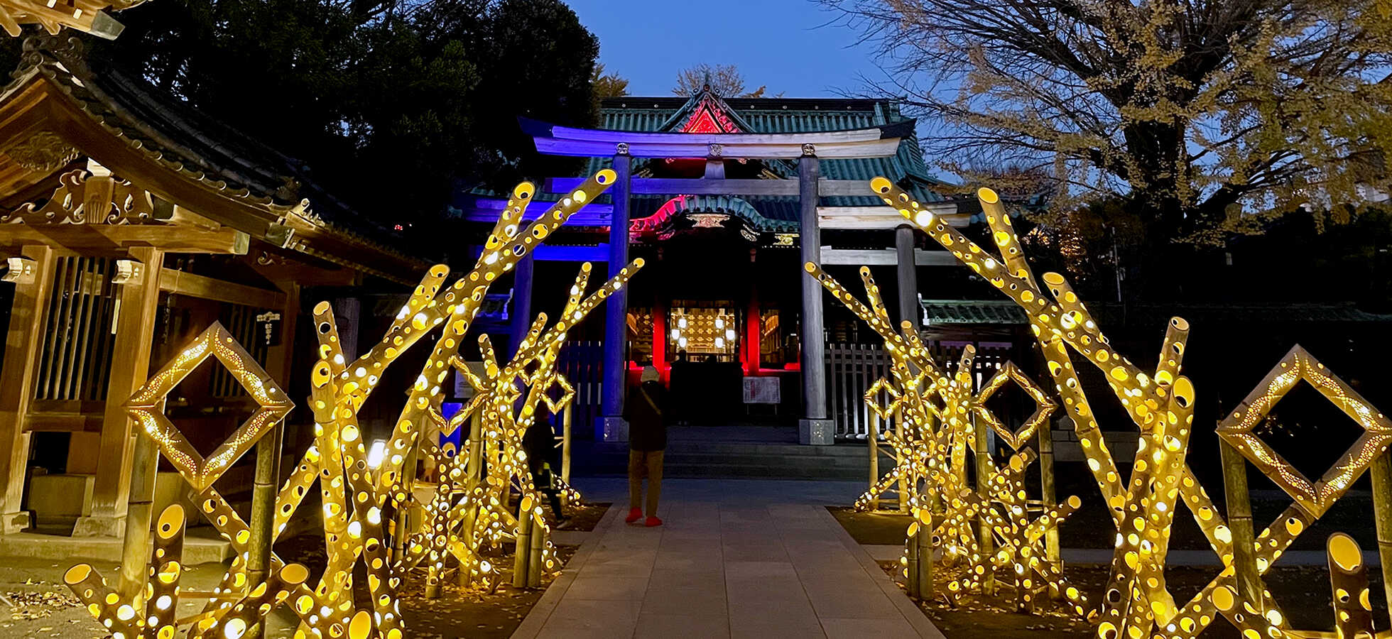 伝統と革新が交差するイーストTOKYO光の祭典 キービジュアル