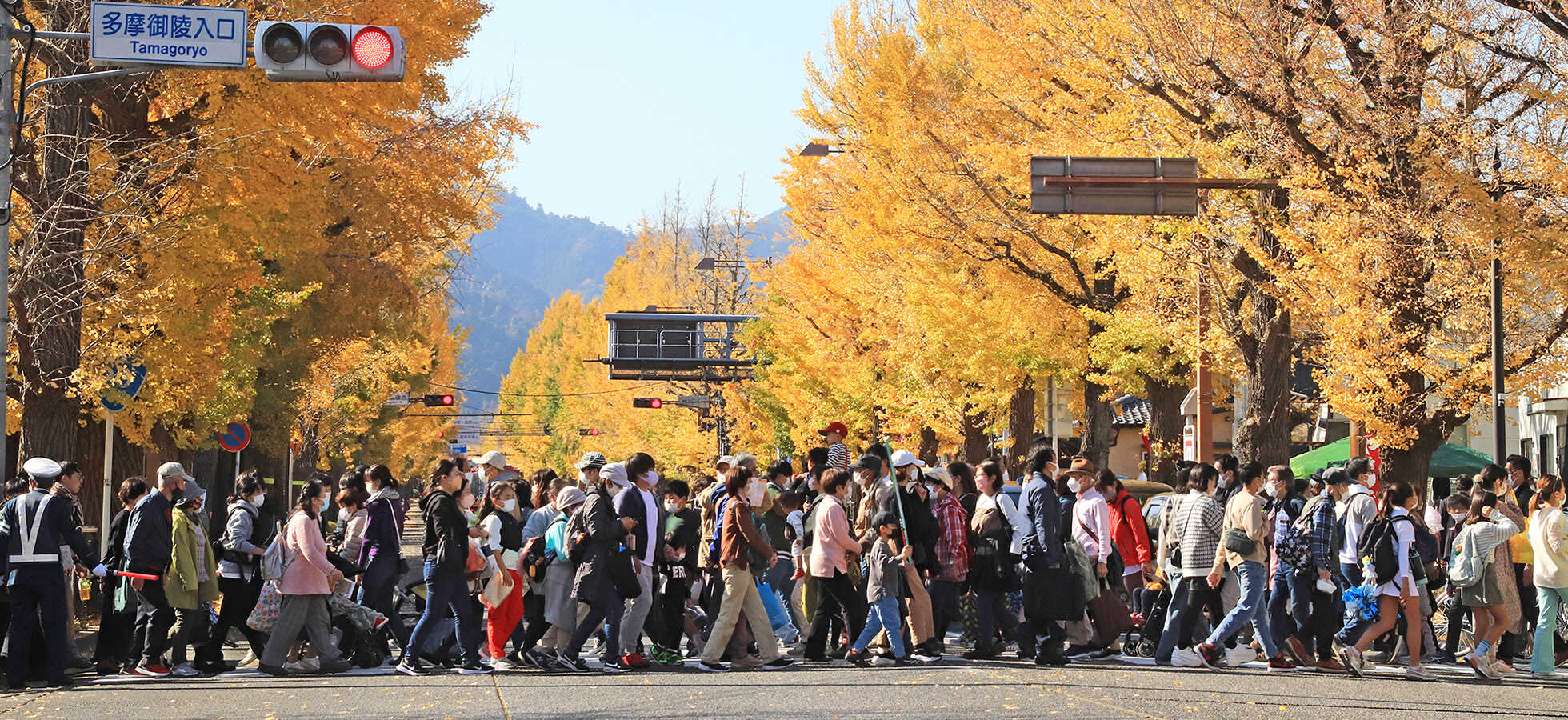 HACHIOJI ICHOU FESTA × Tokyo Tokyo ZONE キービジュアル