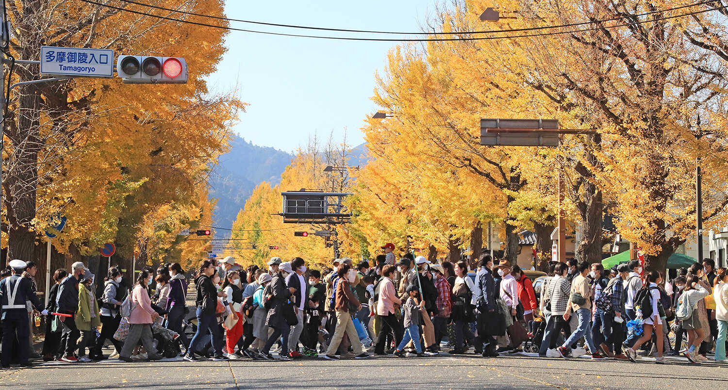 HACHIOJI ICHOU FESTA × Tokyo Tokyo ZONE キービジュアル