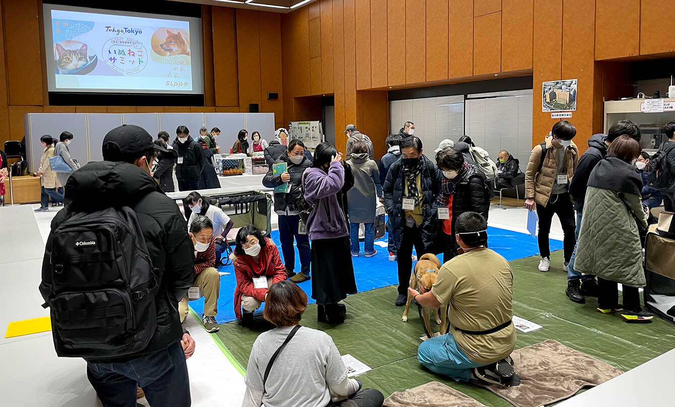 いぬねこ最先端都市TOKYO～いぬねこサミット～ イメージ10