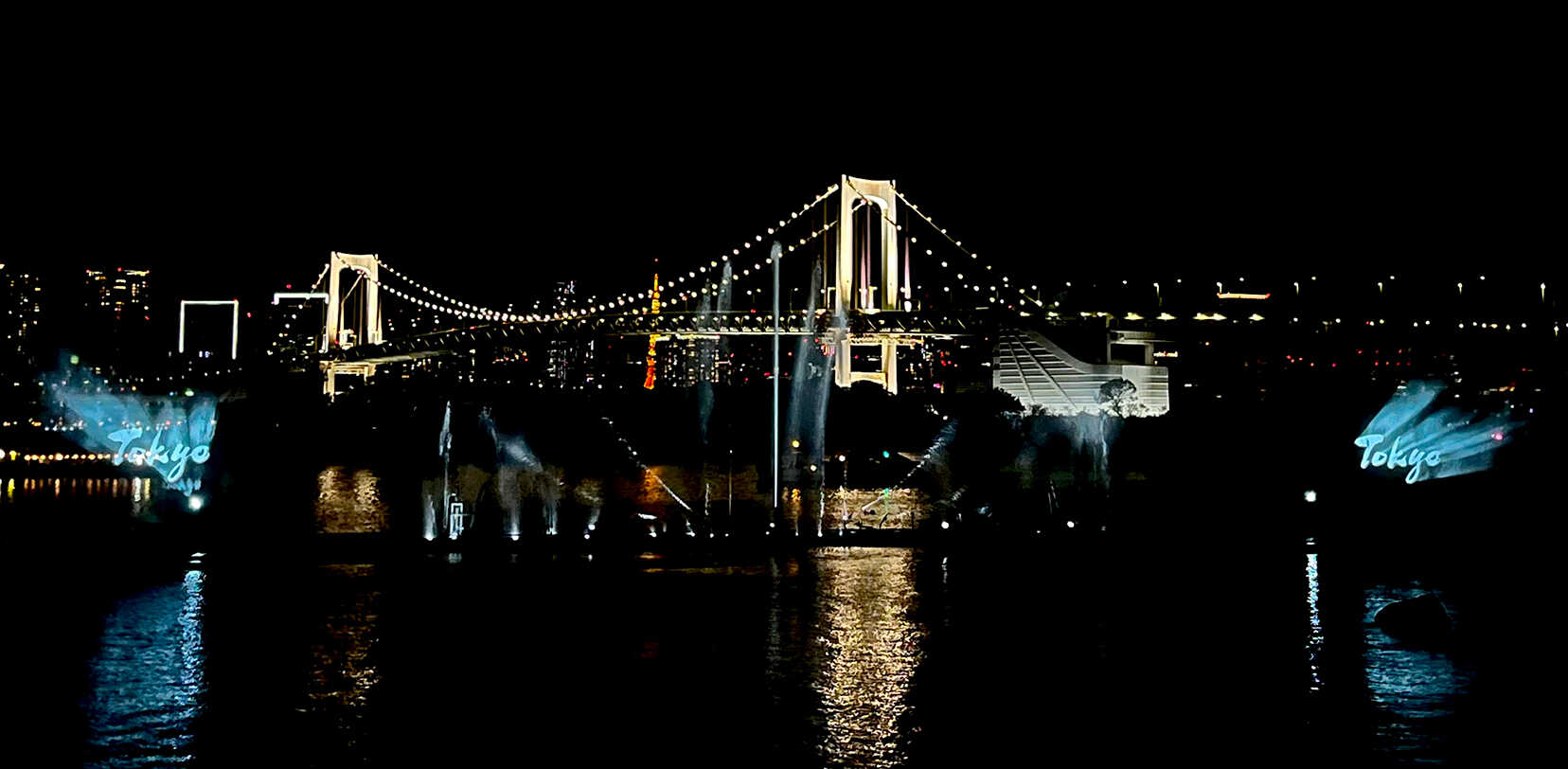 東京ビッグサイトとお台場海浜公園にてTokyoTokyoのPR映像を上映 イメージ10