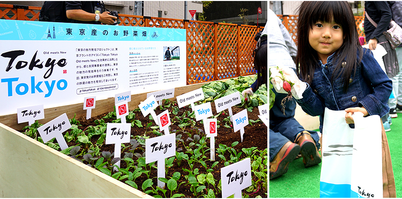 東京ハーヴェスト2018 イメージ 2