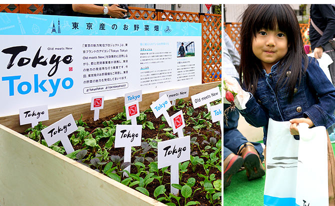 東京ハーヴェスト2018 イメージ 2