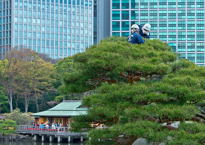 トラディション賞の写真 イメージ