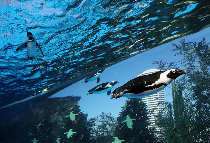 イノベーション賞の写真 イメージ