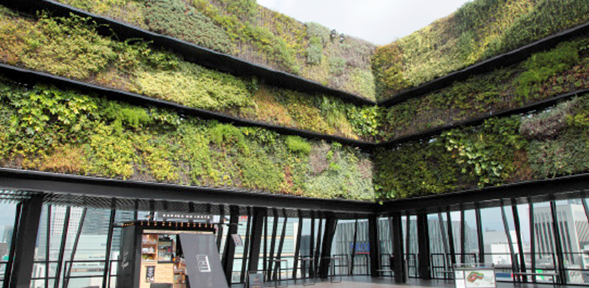 Find your Green Tokyo! Project イメージ 4