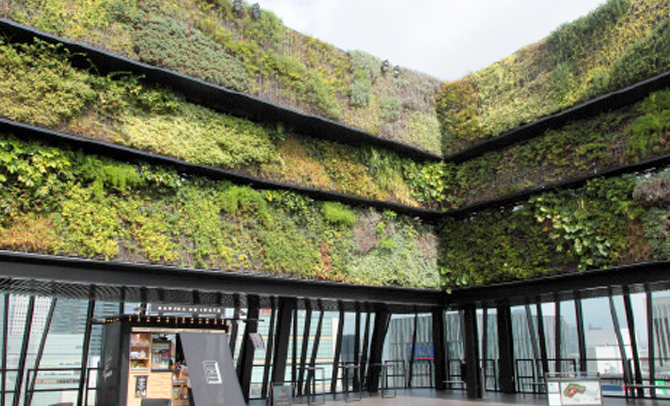 Find your Green Tokyo! Project イメージ 4