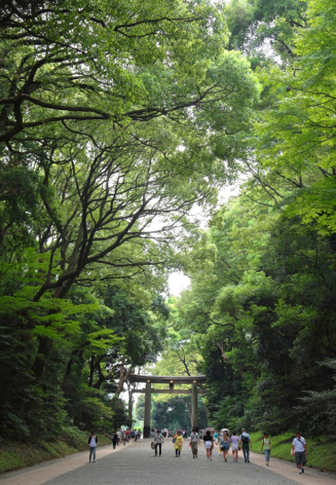 Find your Green Tokyo! Project イメージ 6