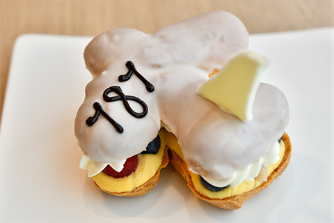 飛行機シュー イメージ