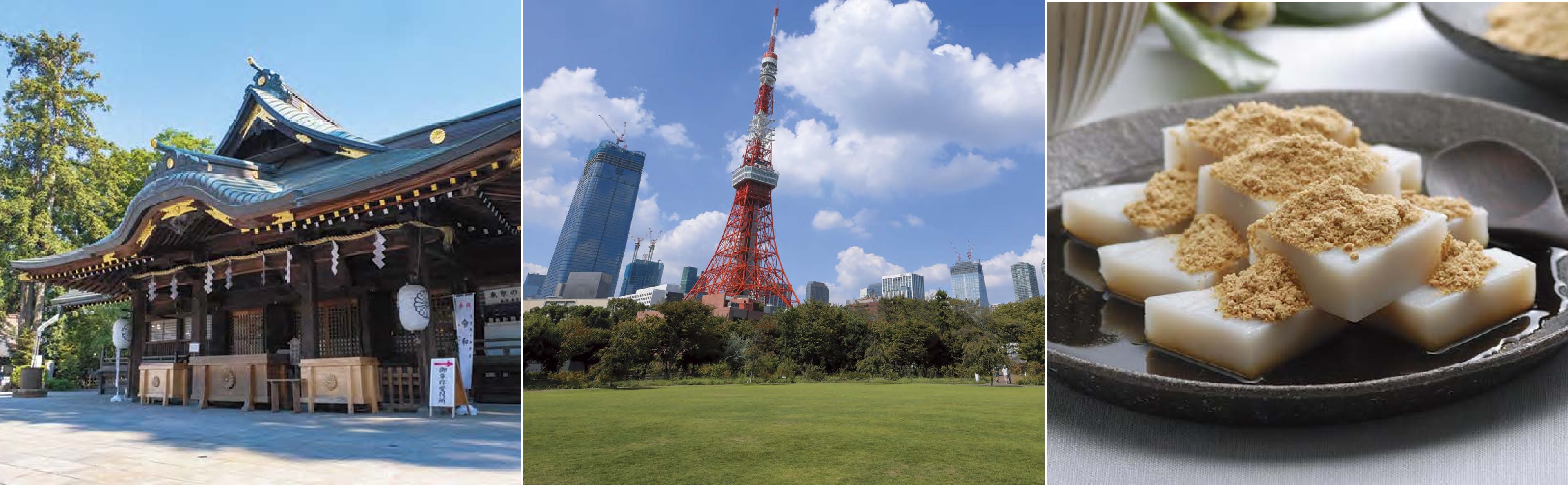 オフタイム活用でビジネスにパワーを都心の名所を巡る東京ブレジャー 家康ゆかりのオアシスへ キービジュアル