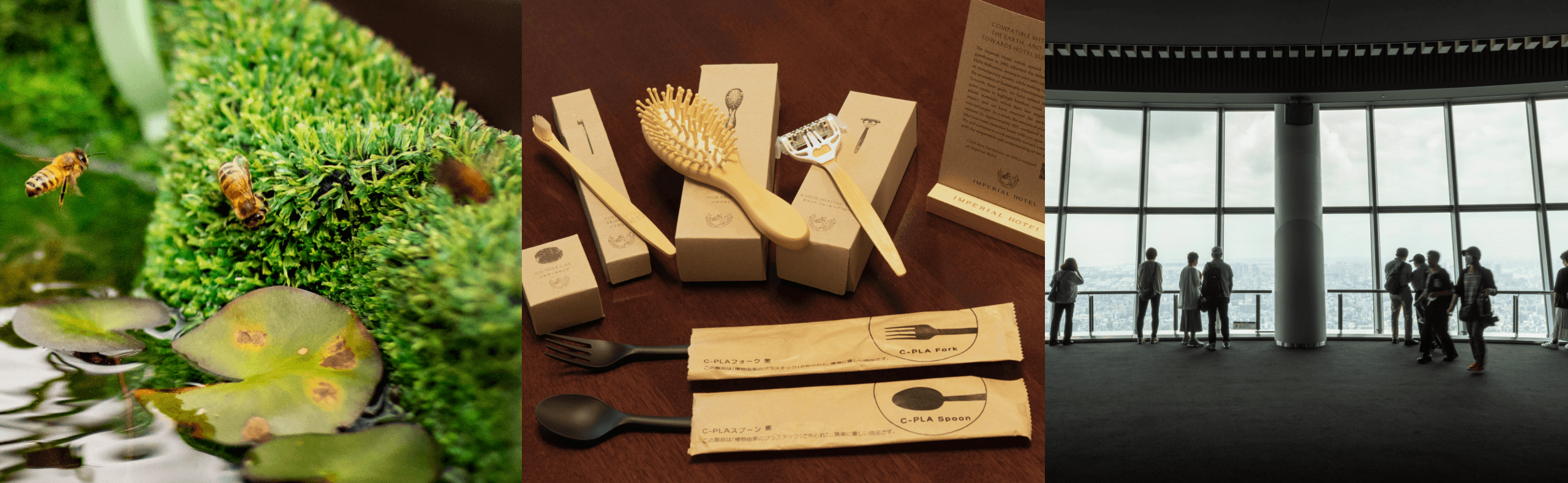 持続可能な都市・新たな東京を目指す