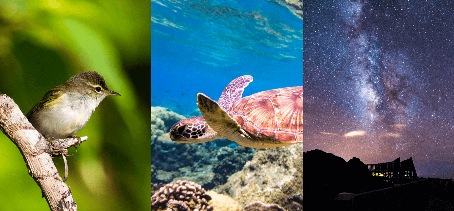 島しょ地域のサステナブルな旅 メインビジュアル