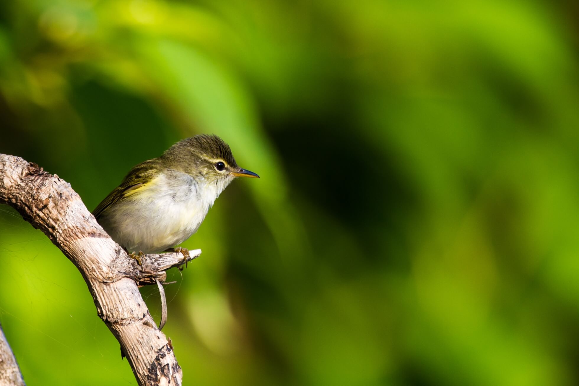 島しょ地域のサステナブルな旅 イメージ1