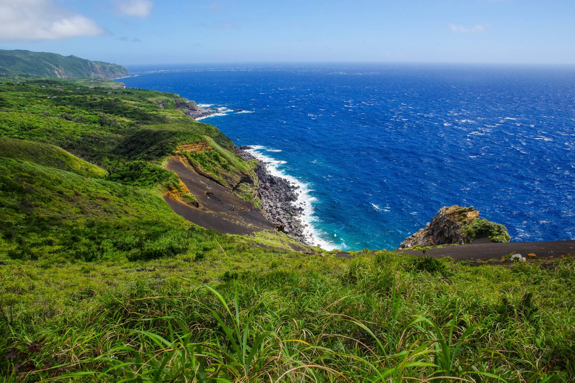 TOKYO’S NEW Sustainability image