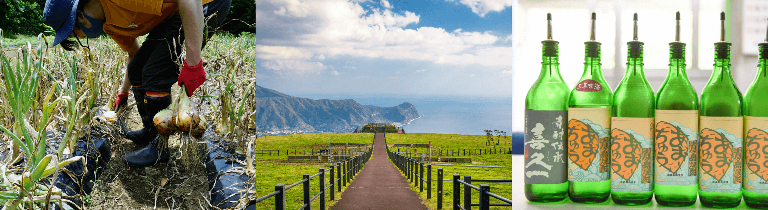 島のサステナブルな食文化 メインビジュアル