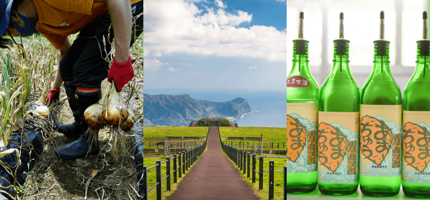 島のサステナブルな食文化 メインビジュアル