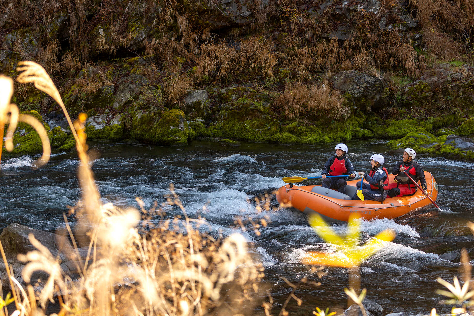 多摩の豊かな自然に学ぶサステナブルな観光 イメージ4