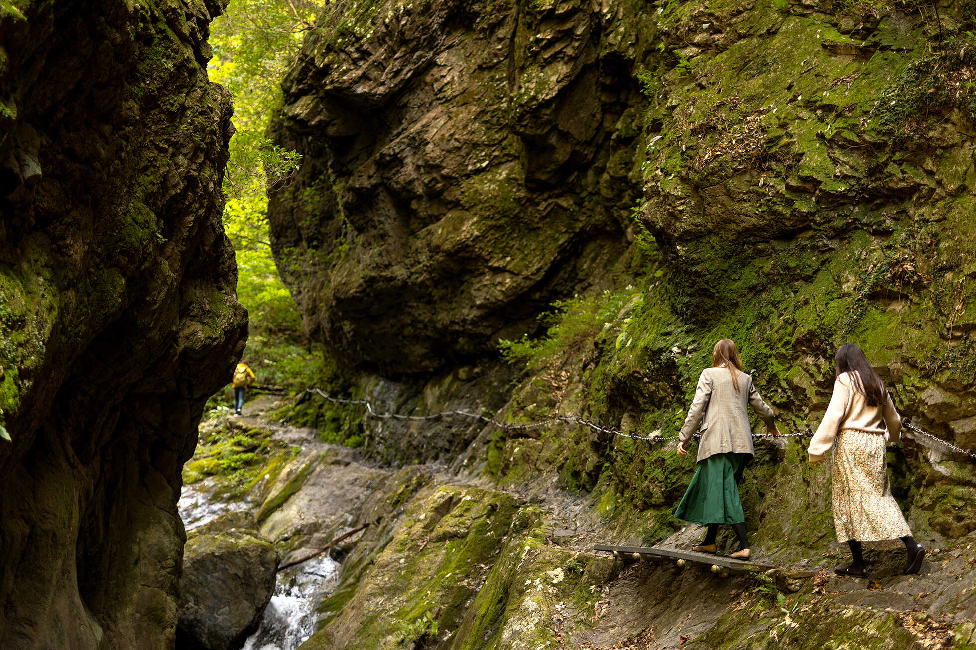 多摩の豊かな自然に学ぶサステナブルな観光 イメージ6