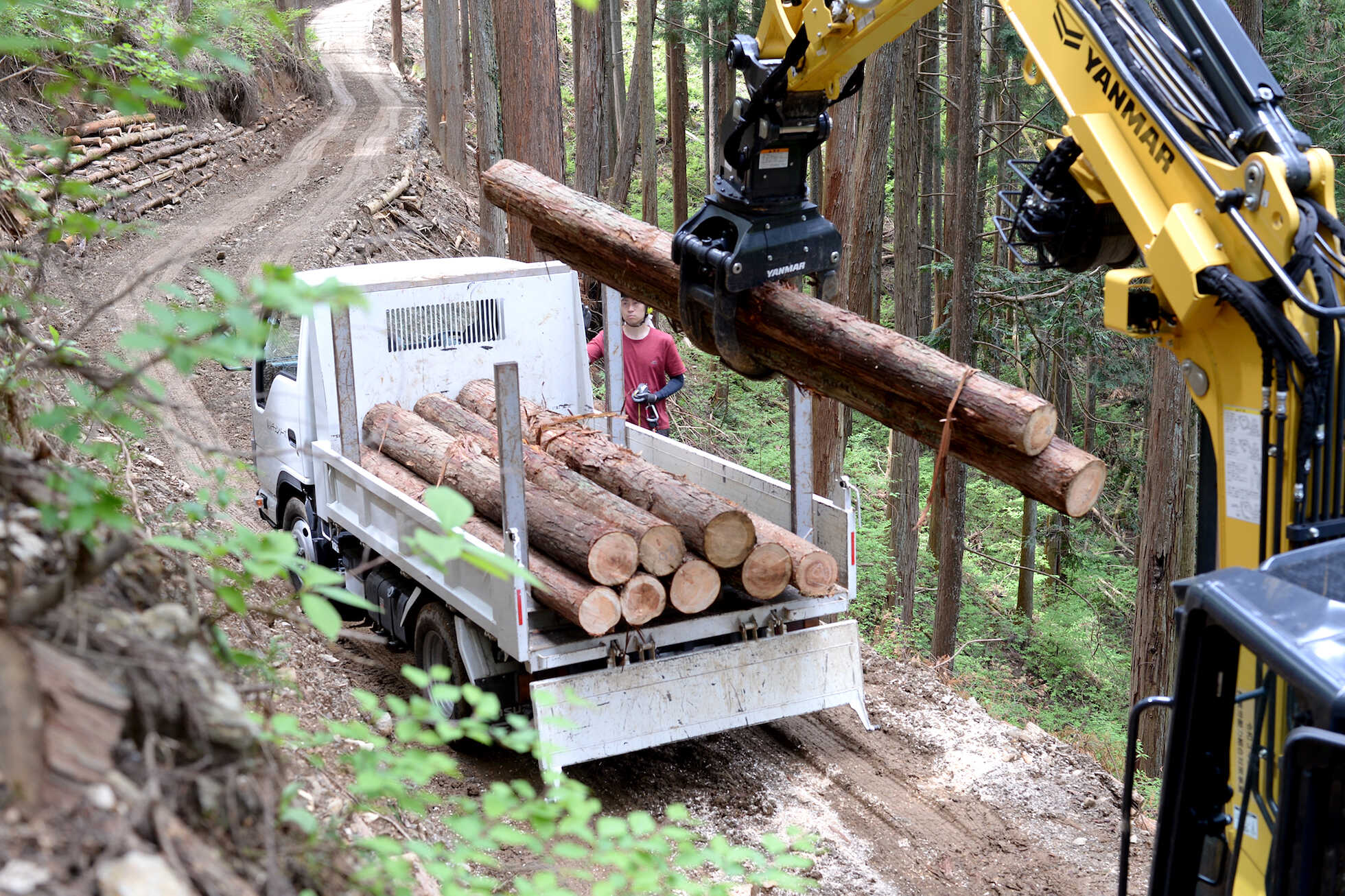 多摩の豊かな自然に学ぶサステナブルな観光 イメージ6