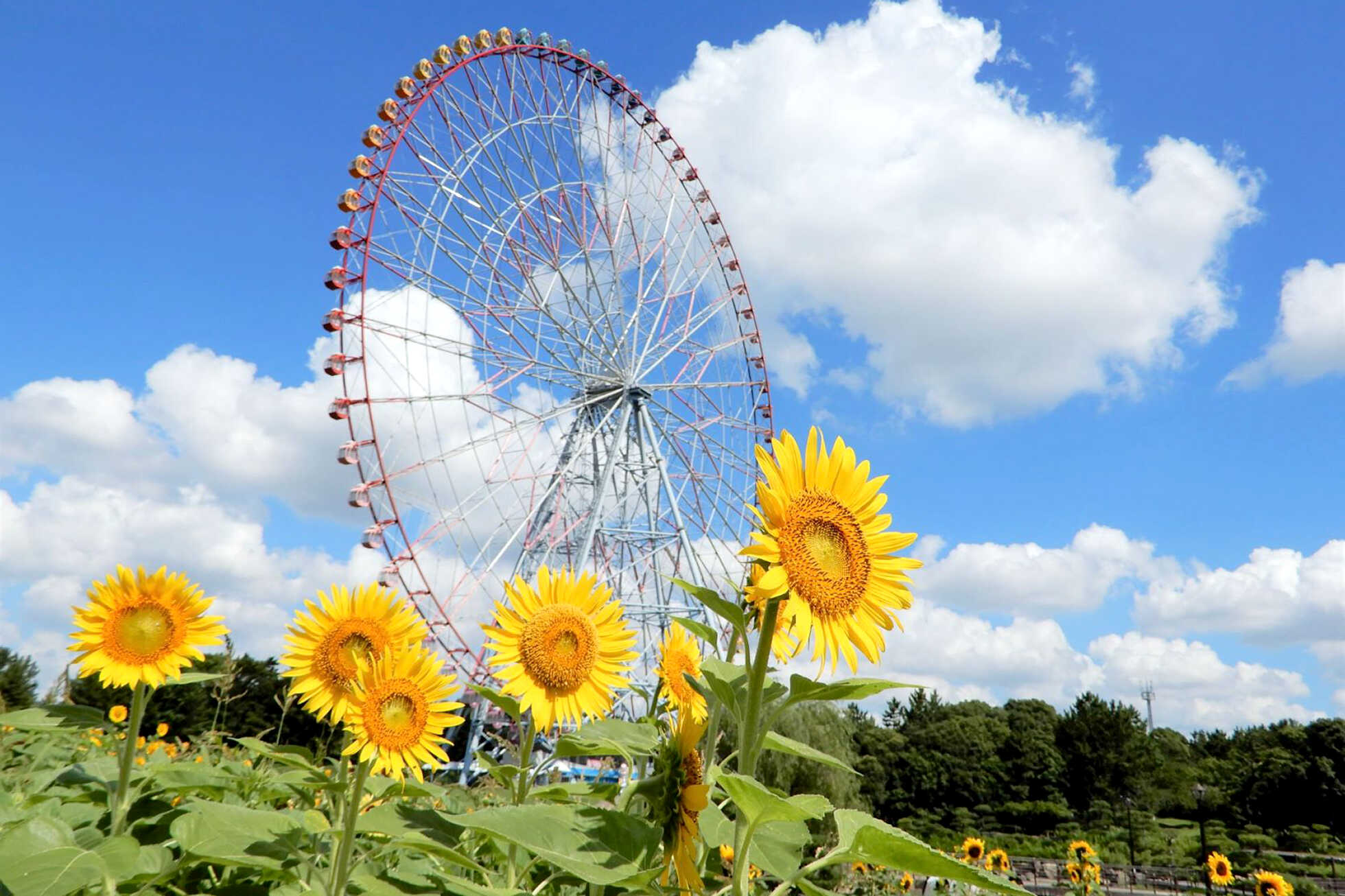 東京ベイエリア、サステナブルな海辺のまちづくり イメージ8
